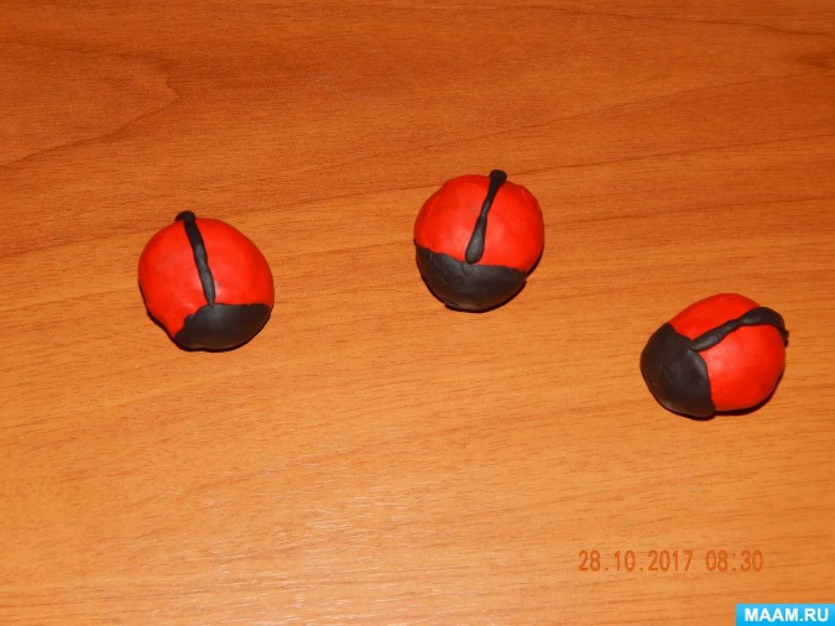 Божья коровка из грецкого ореха