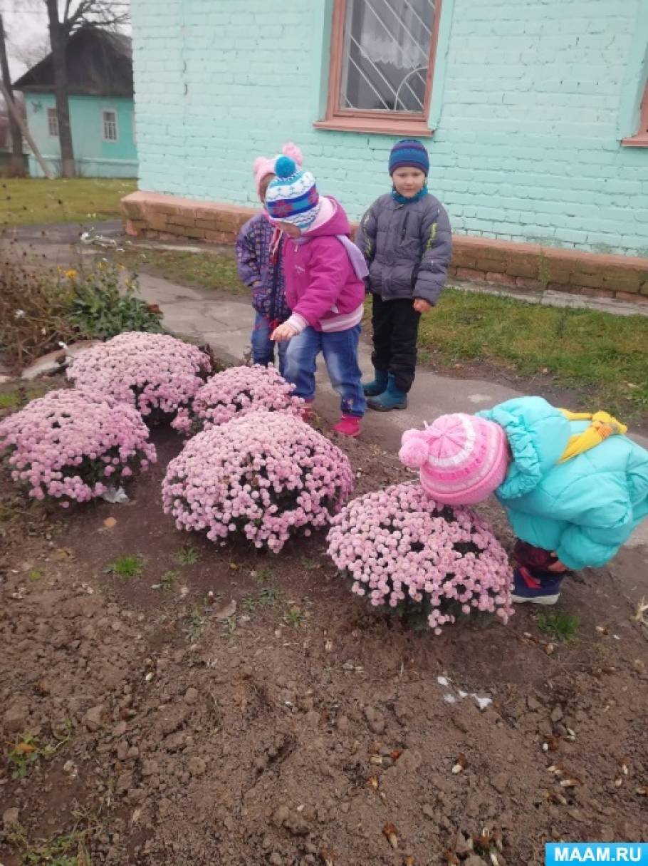 Последние Цветы Осени Фото