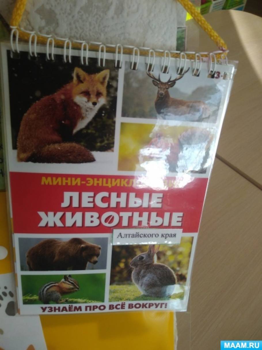 Животные Алтайского Края Фото