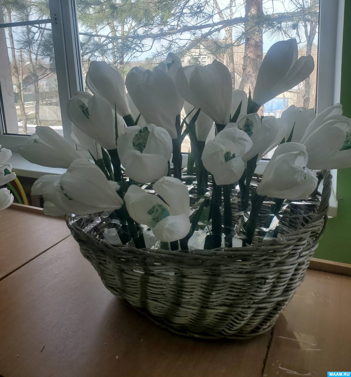 ������-����� �� ������������ ������� �� ������������� ������ �����������