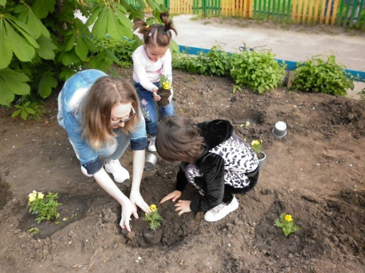Смотреть фотографию №2 Фото №2 Посадка и выращивание растений Посади свой цветок под девизом Подари жизнь цветочку улыбнись природе