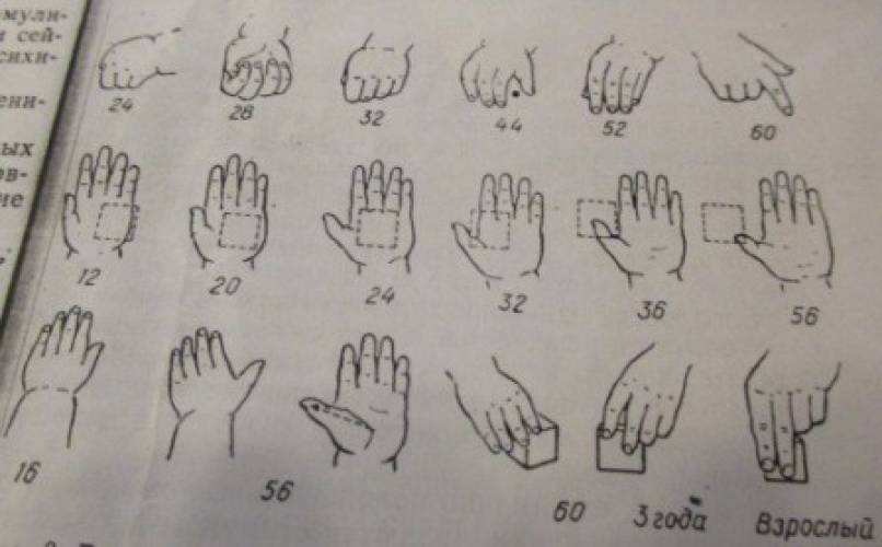 Консультация «Этапы развития движений руки»