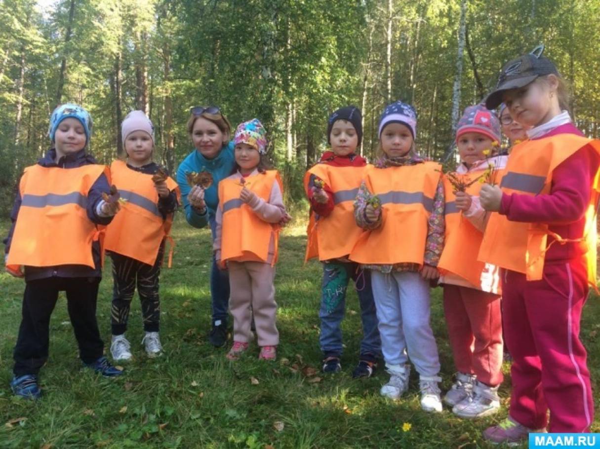 Фото «Лес — мой дом родной»
