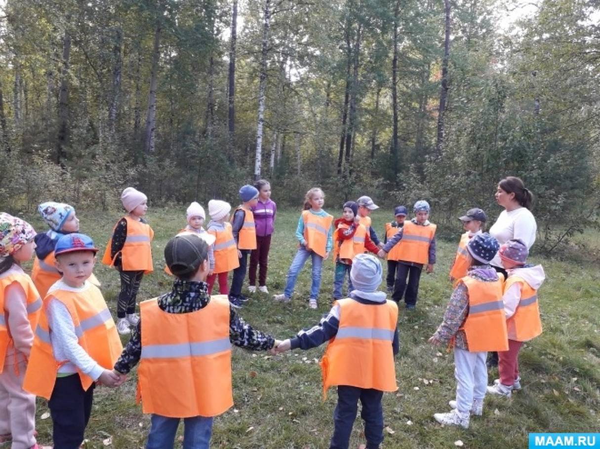 Конспект экологической прогулки-развлечения «Лес — мой дом родной»