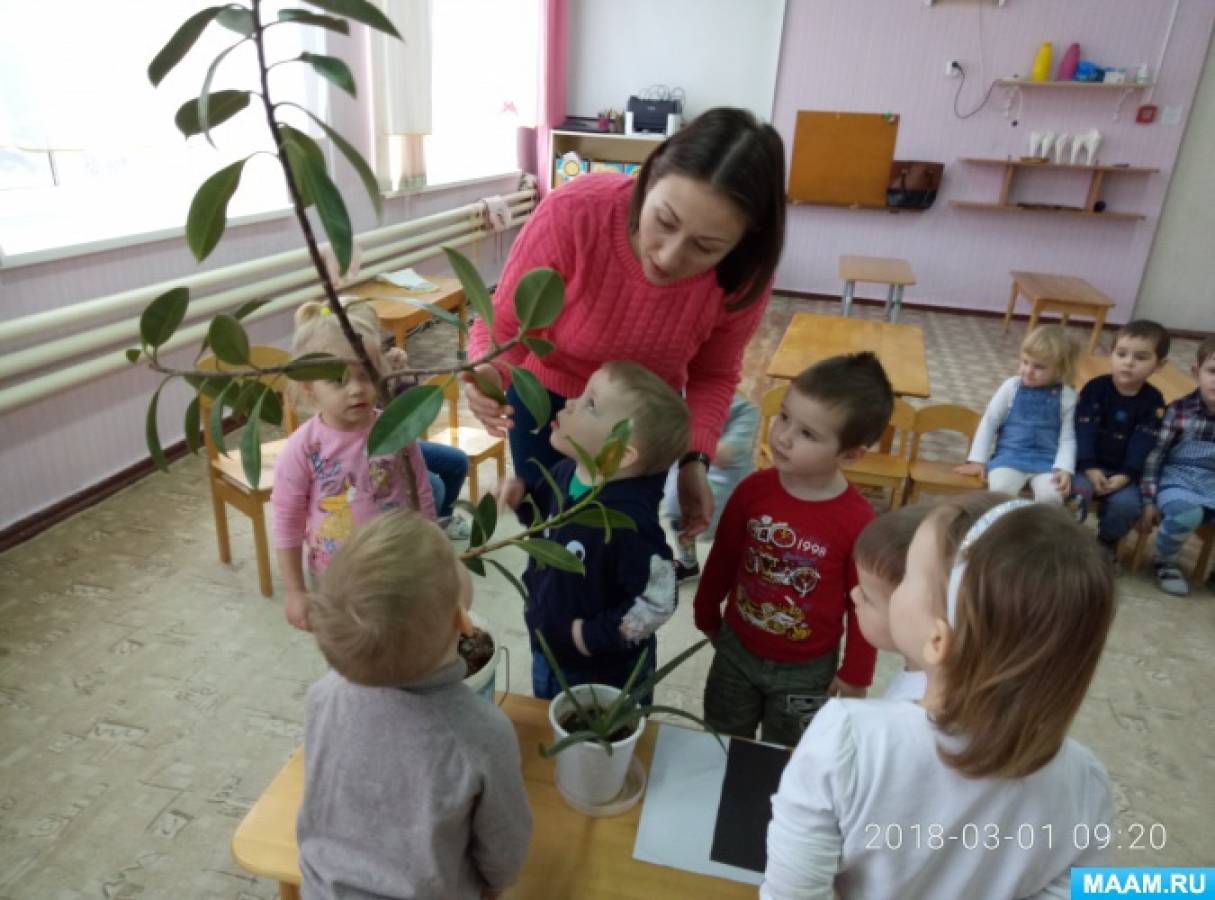 Формирование элементарных математических представлений в группе раннего возраста Фото Формирование элементарных математических представлений в группе раннего возраста