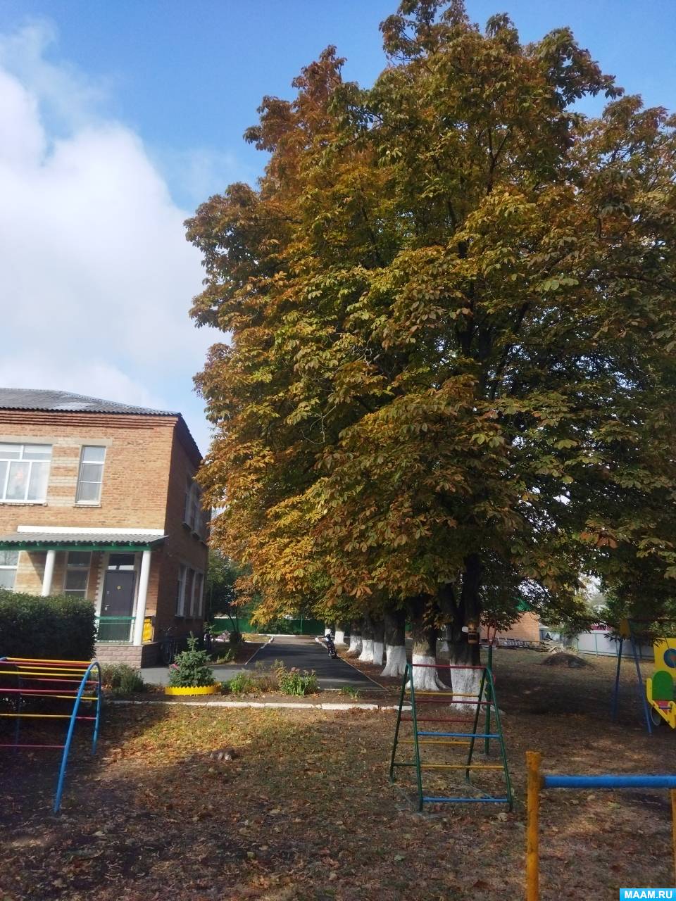 ��������� � ������� � ������� ������ �� ���� ��������