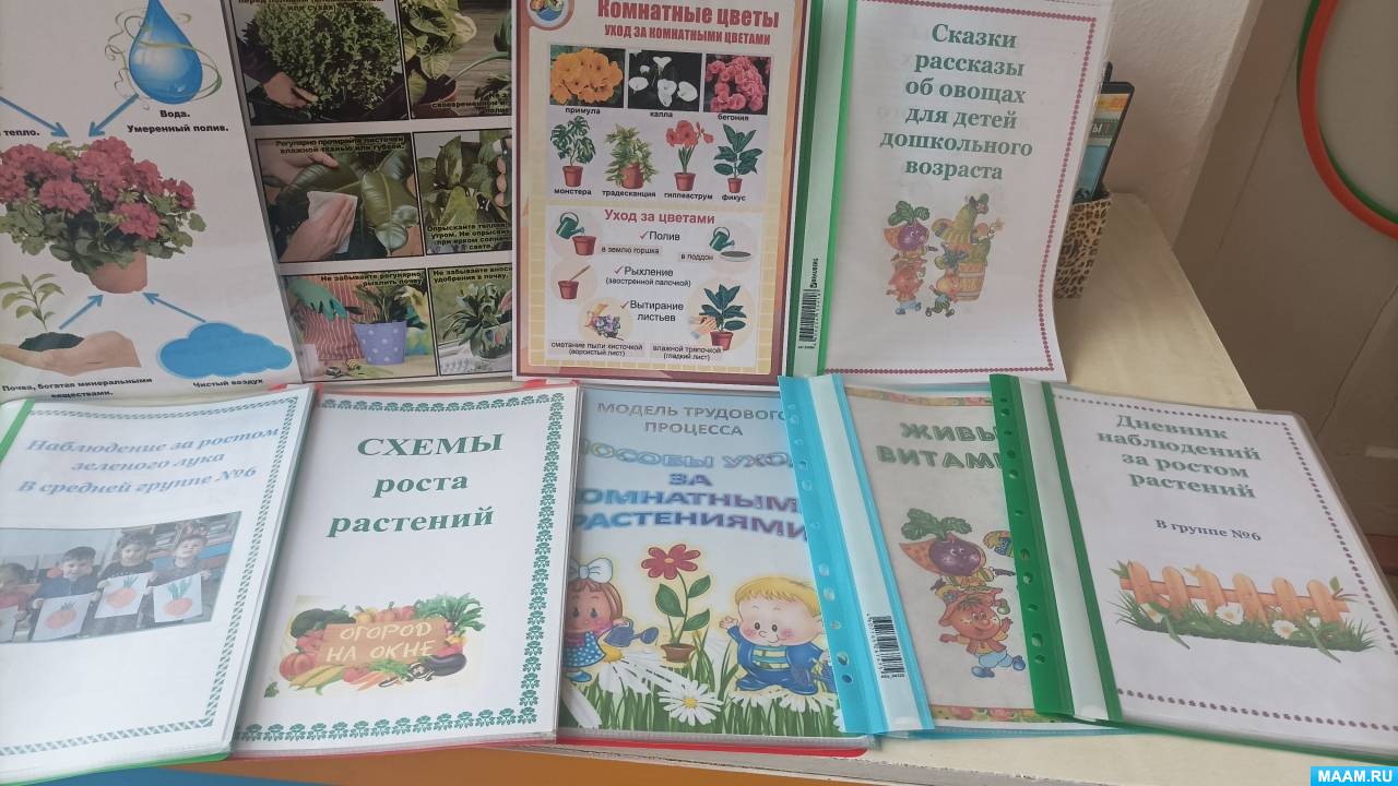 Смотреть фотографию №8 Фото №8 Дети делали свои выводы что из семечка луковицы зернышка можно вырастить растение