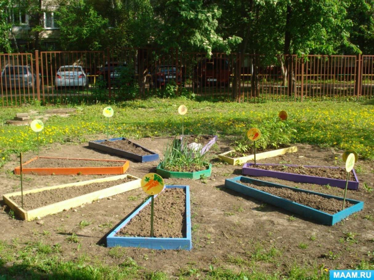 Огород в детском саду на участке