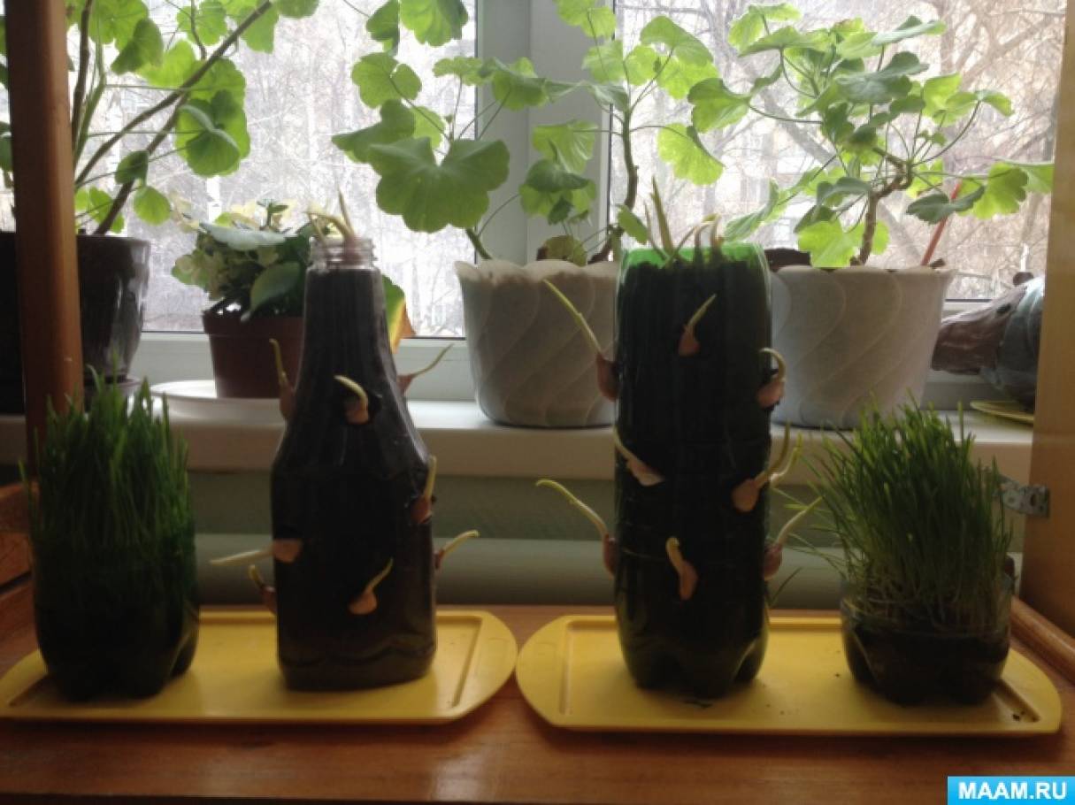 ������� ������� � ������� ������ (���������)