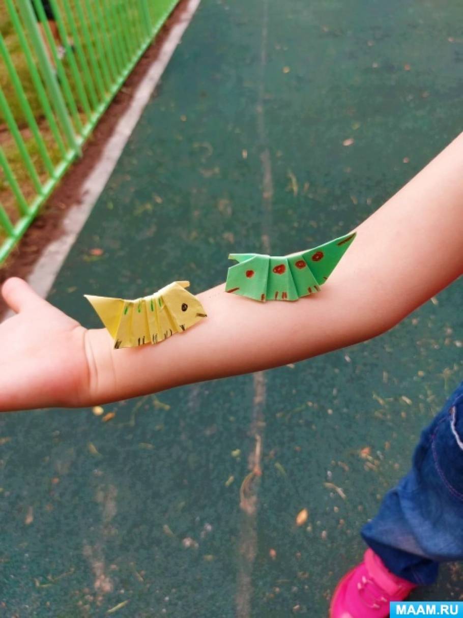 Как сделать гусеницу: пошаговые поделки для детей