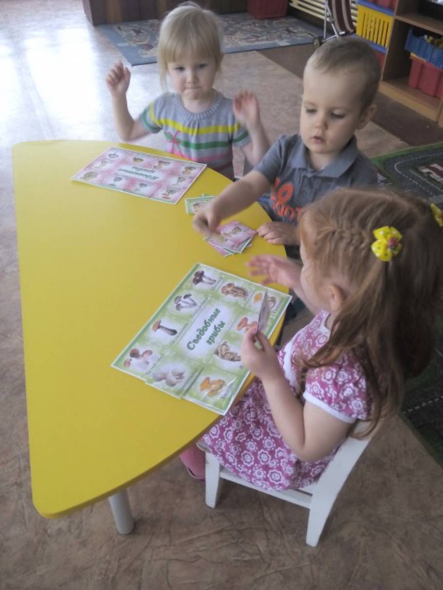 Дидактическая игра «Съедобные и несъедобные грибы» (4 фото ...