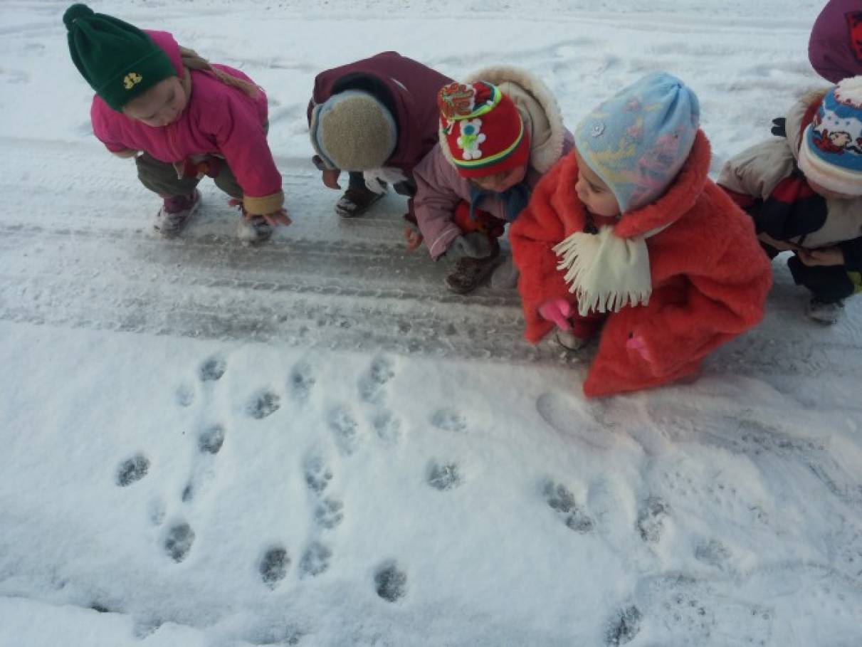 Играем со снегом. Зимняя прогулка для дошкольников. Прогулка в детском саду зимой. Игрушки для прогулки в детском саду. Наблюдение зимой для детей детского сада.