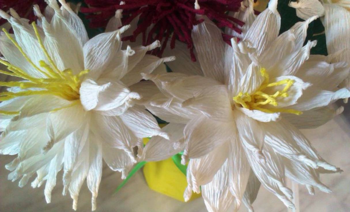 Из крепированной бумаги цветы: пошаговая инструкция с фото