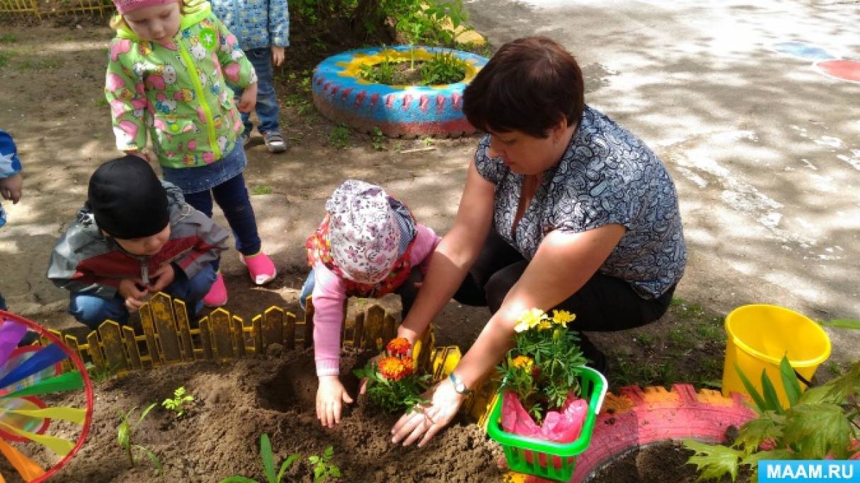 Знакомство С Природой В Детском Саду