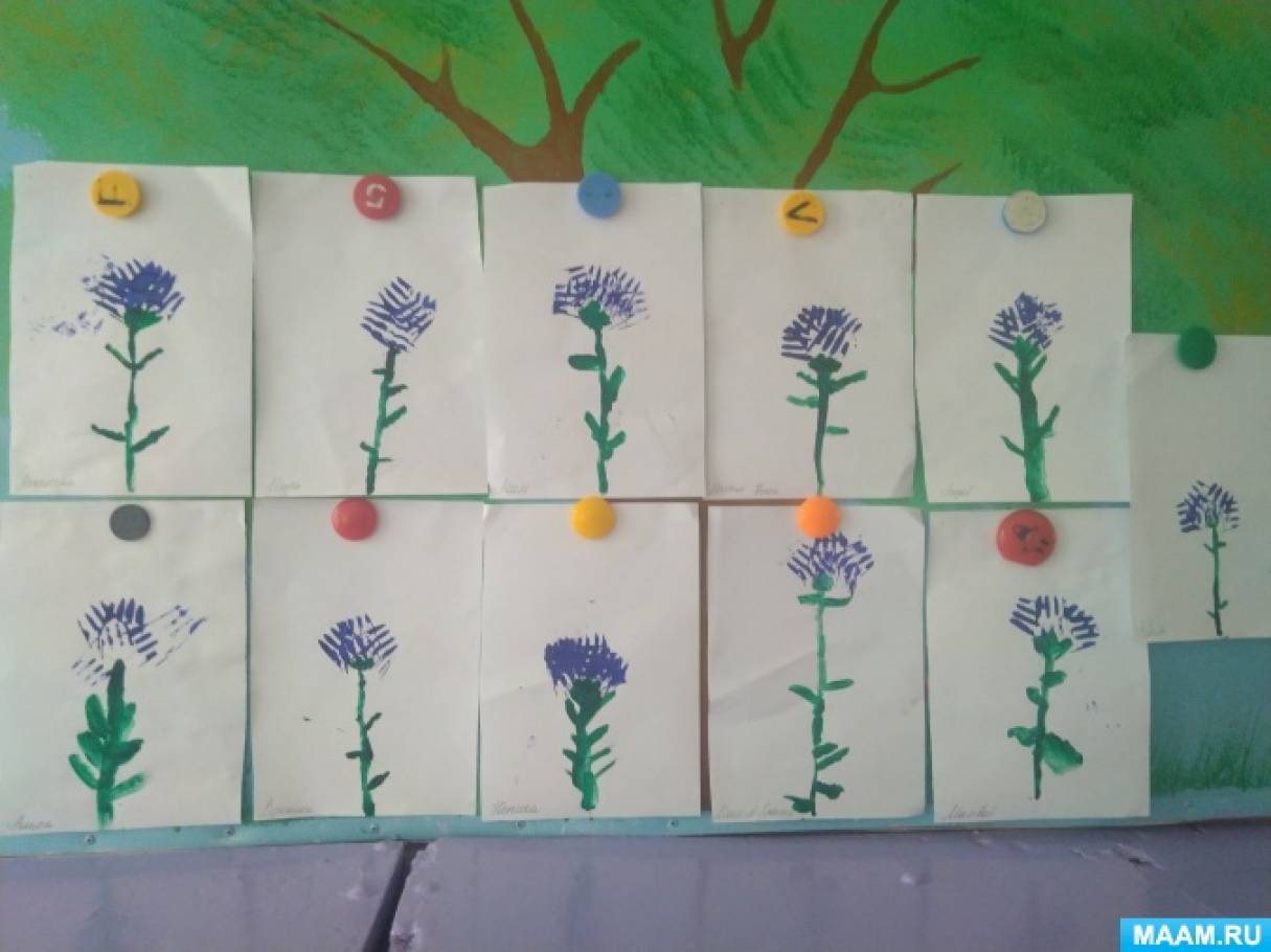 Рисование цветы во второй младшей группе. Рисование растения в старшей группе. Рисование полевых цветов в старшей группе. Рисование цветы в младшей группе. Рисование цветы старшая группа.