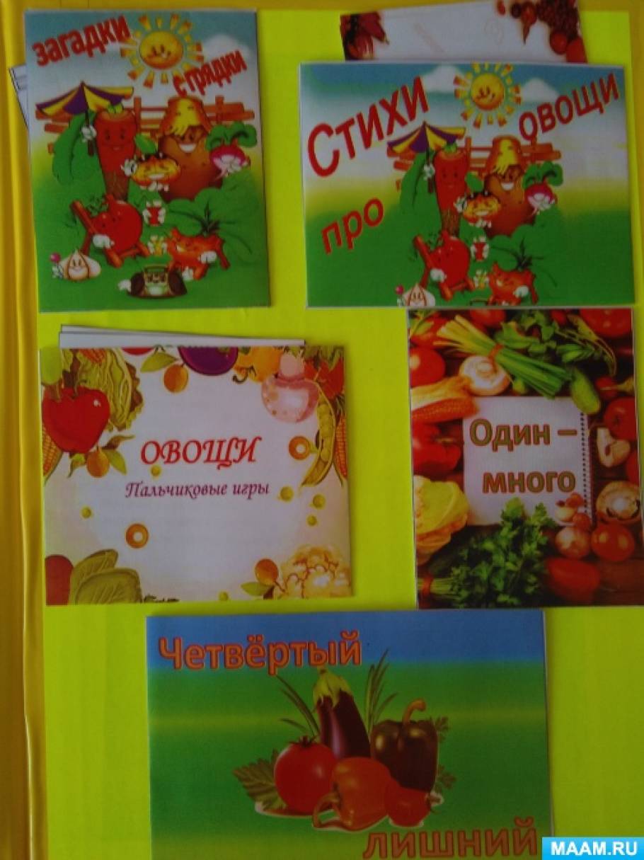 Лэпбук по познавательному развитию «Осень» Фото Лэпбук по познавательному развитию «Осень»