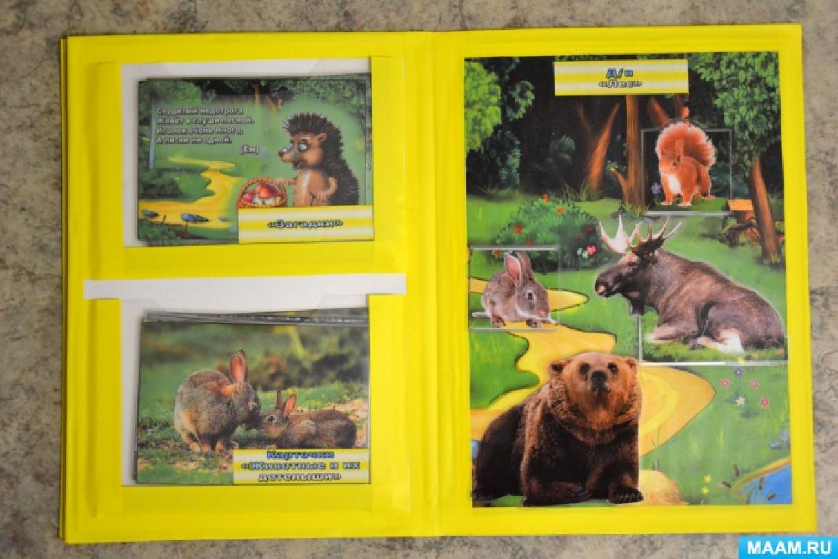 Лэпбук «Дикие животные» с загадками, играми и карточками