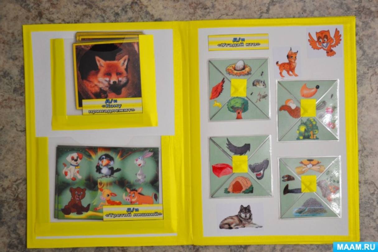 Лэпбук «Дикие животные» с загадками, играми и карточками