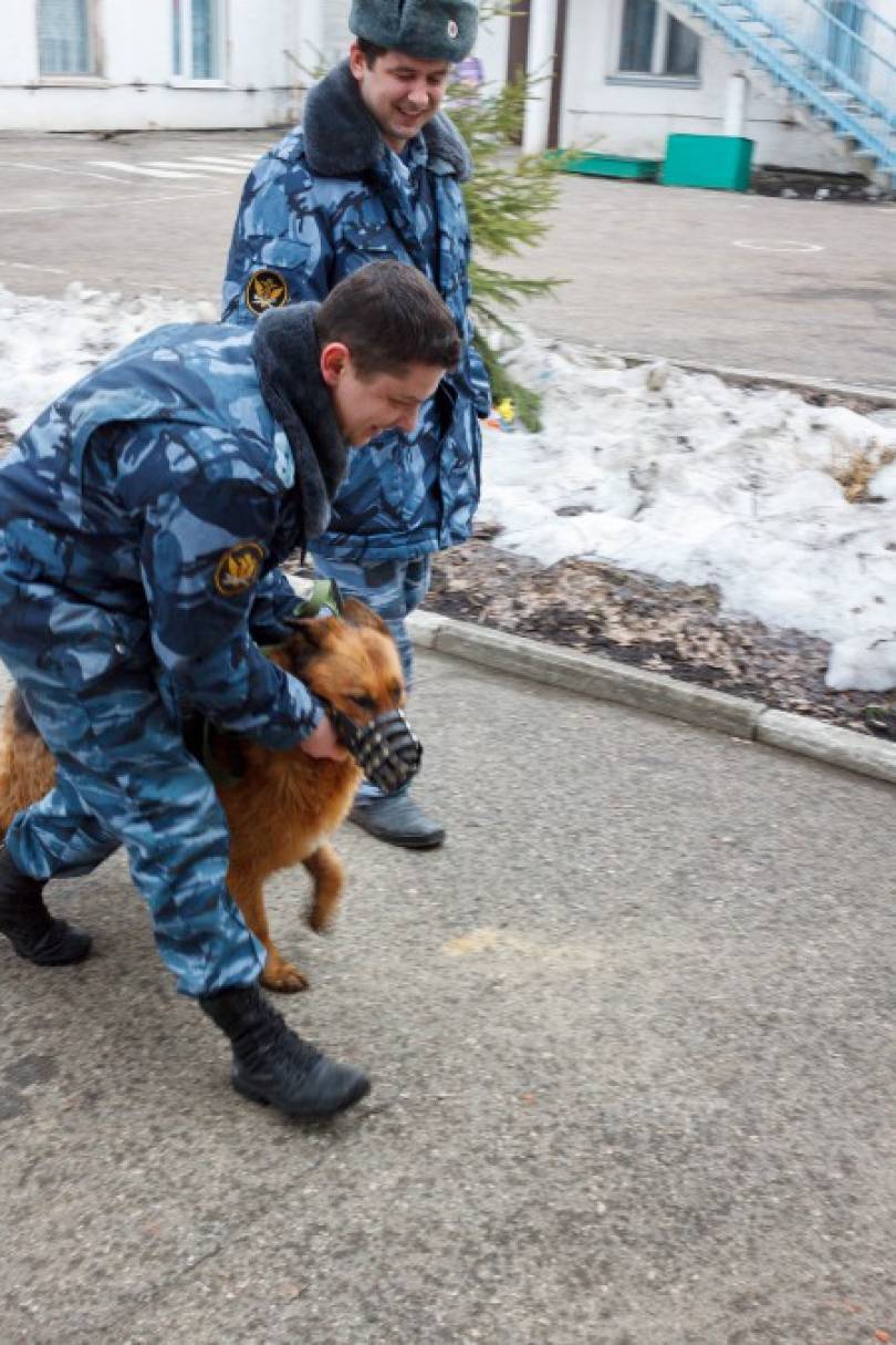 НОД с использованием интерактивного оборудования и нетрадиционных техник рисования «Собака со щенком» для детей 2–3 лет. Фото НОД с использованием интерактивного оборудования и нетрадиционных техник рисования «Собака со щенком» для детей 2–3 лет.