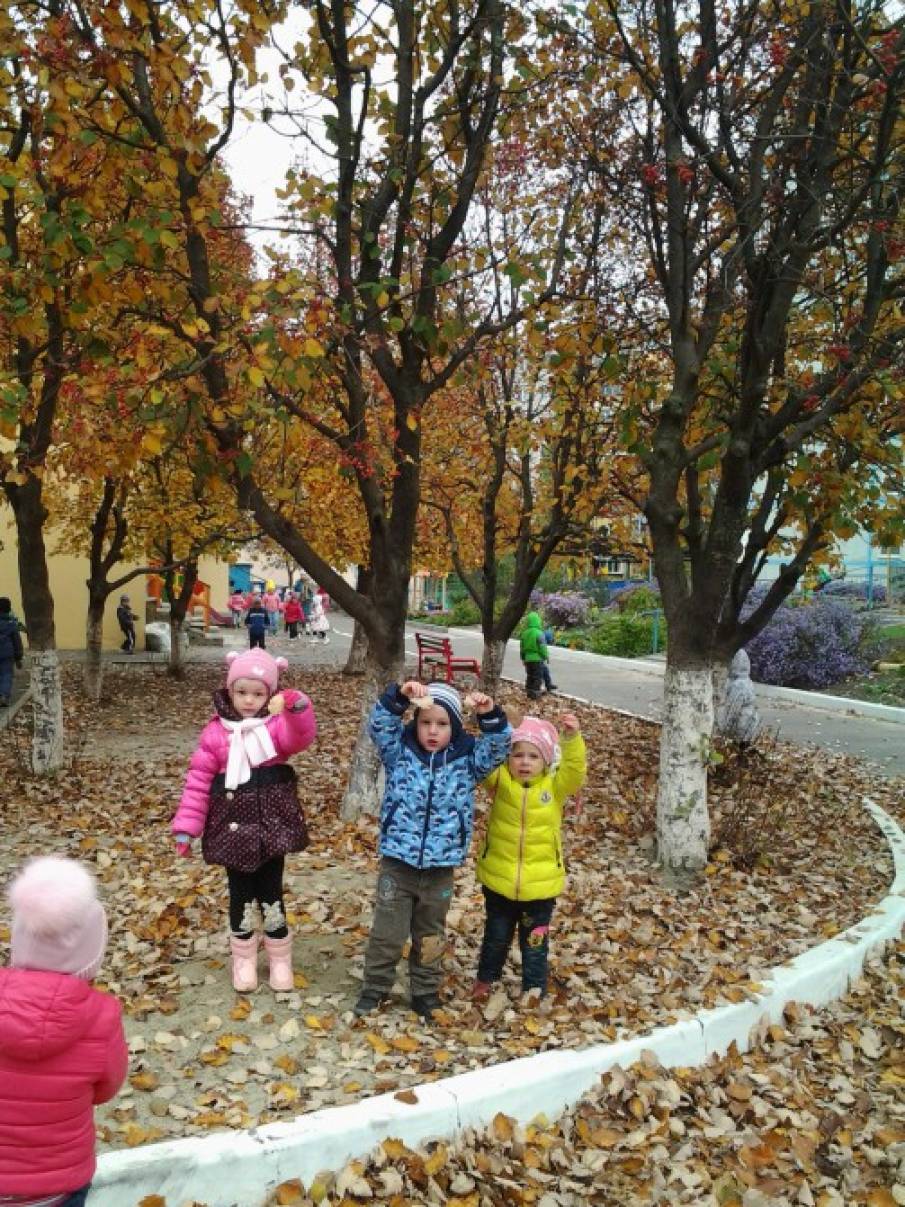 Эмблемы По Экологии Береги Природу