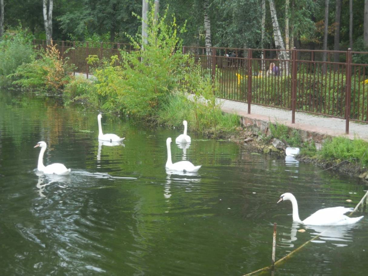 Животные, живущие в зоопарке «Лимпопо» город Нижний Новгород