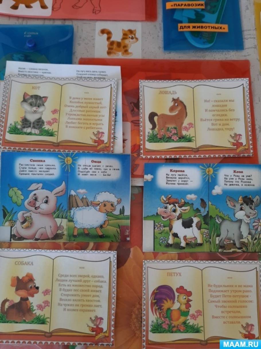 Лэпбук «Домашние животные» (7 фото). Воспитателям детских садов ...