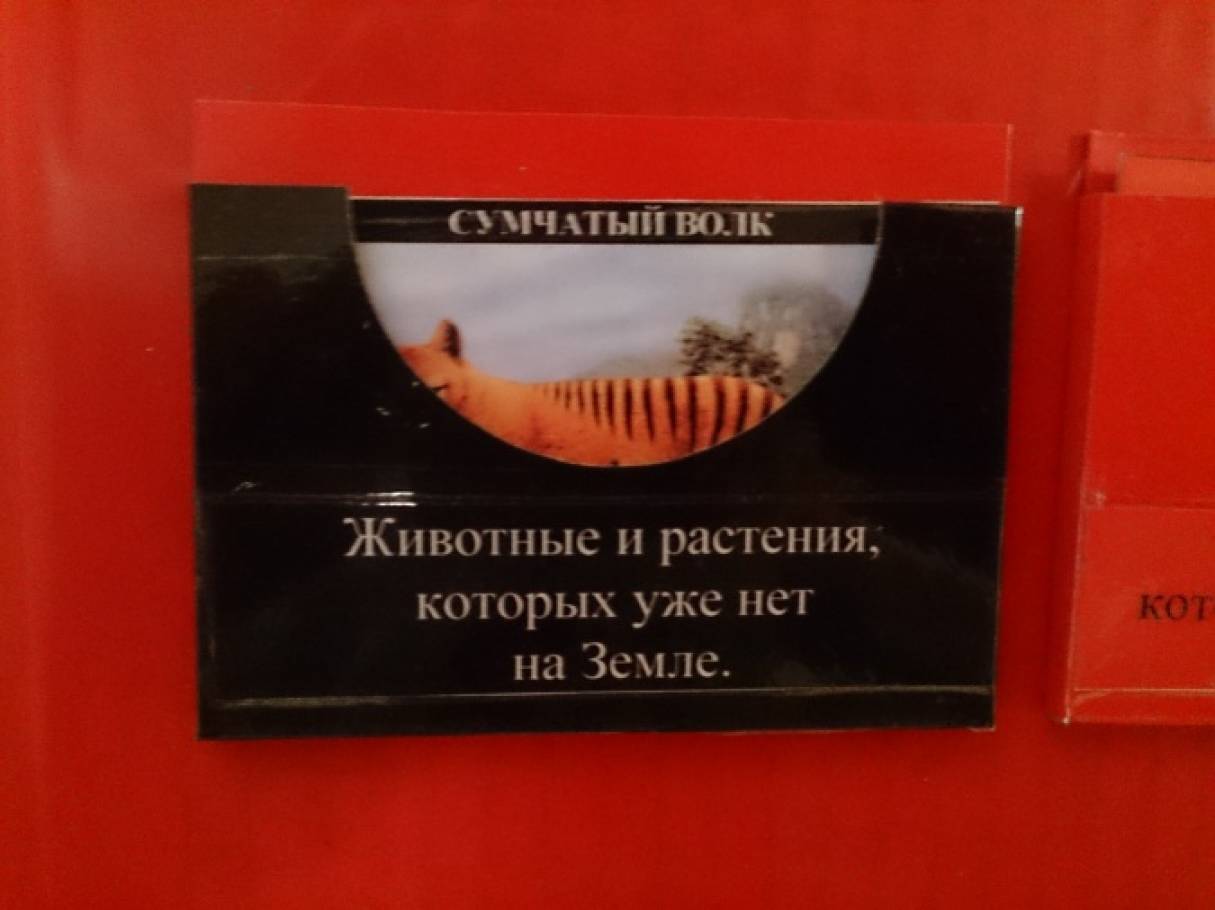 Как сделать красную книгу фото