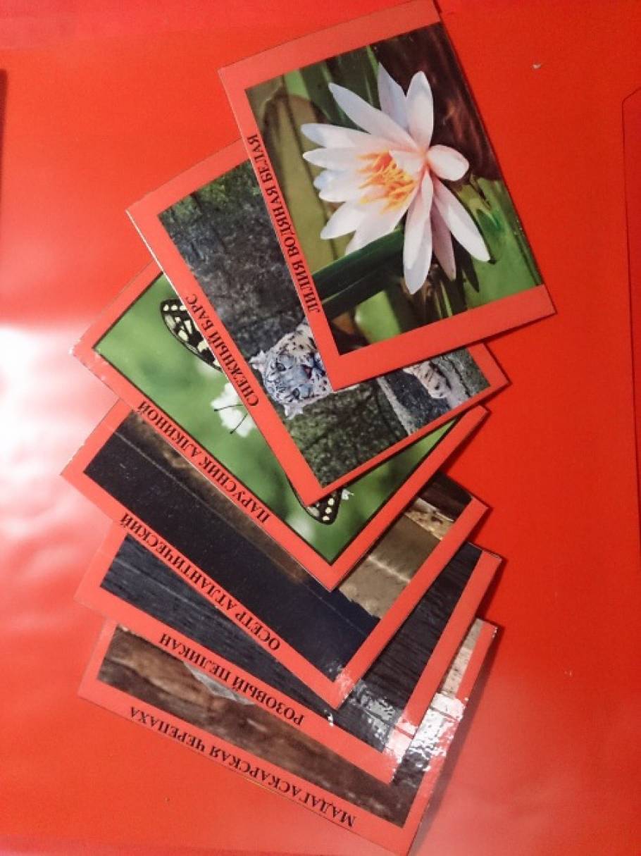 Как сделать красную книгу фото
