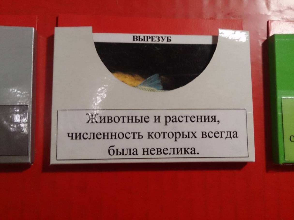 Как сделать красную книгу фото