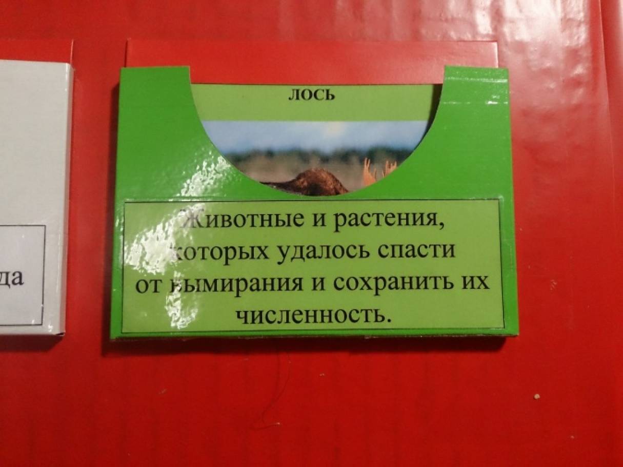 Как сделать красную книгу фото