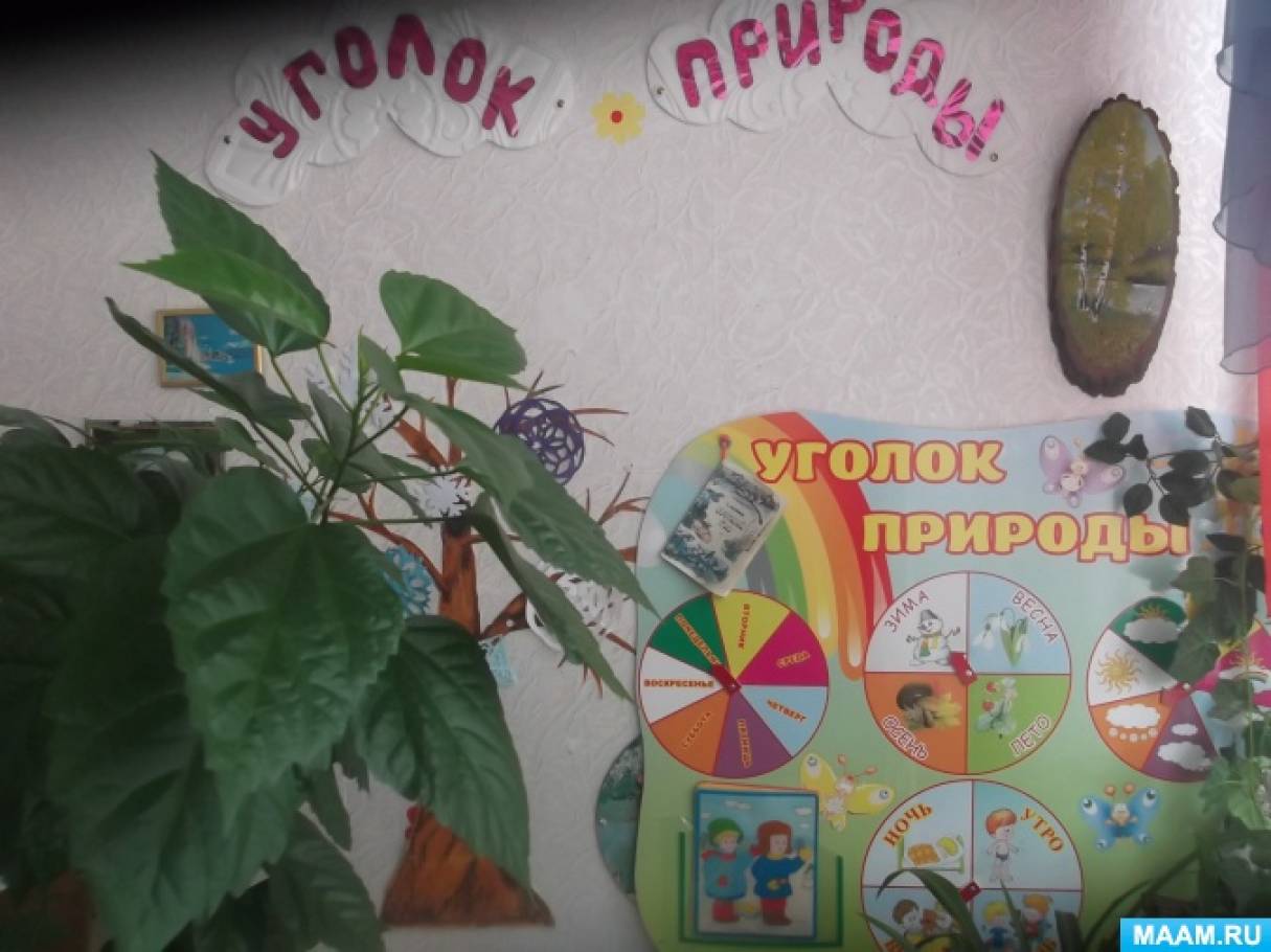 Фотоотчет. «Огород на окне». Фото Фотоотчет. «Огород на окне».