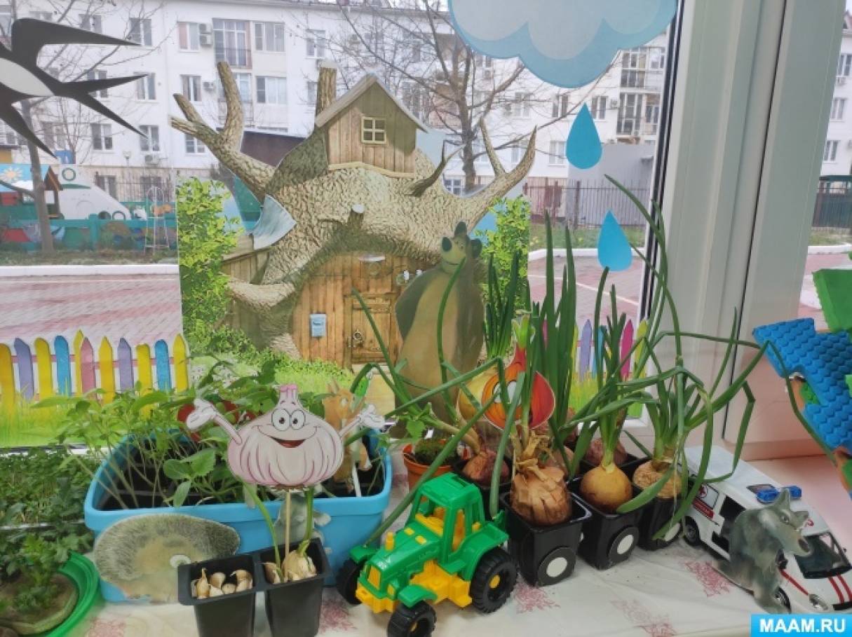 Проект «Огород на окошке» (8 фото). Публикация 1605754. Воспитателям ...