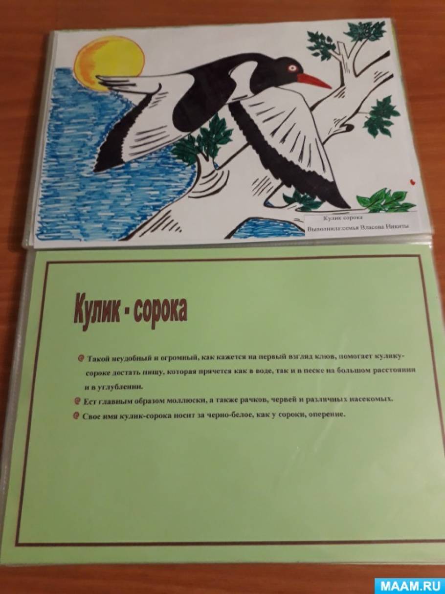 Знакомство с красной книгой подготовительная группа презентация