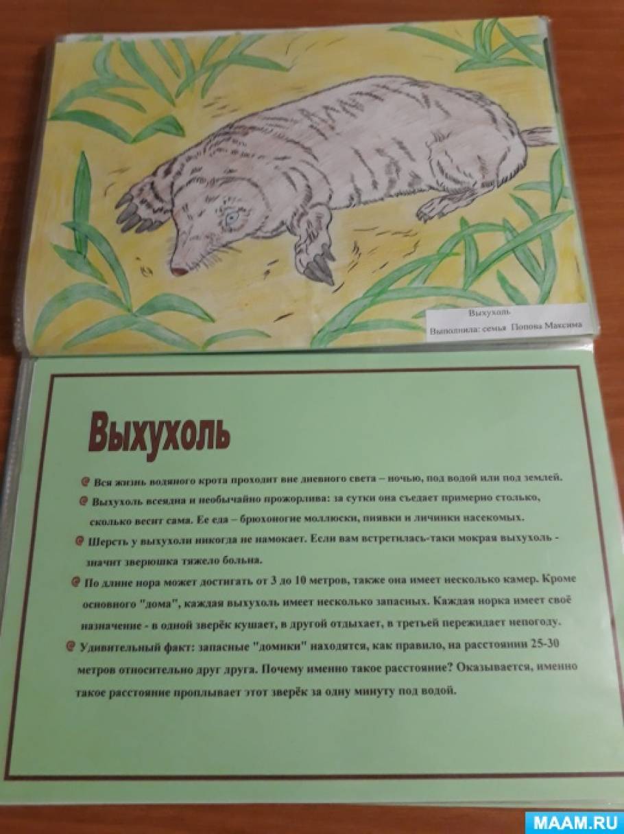 Красная книга. Проекты, страница 13. Воспитателям детских садов, школьным учител