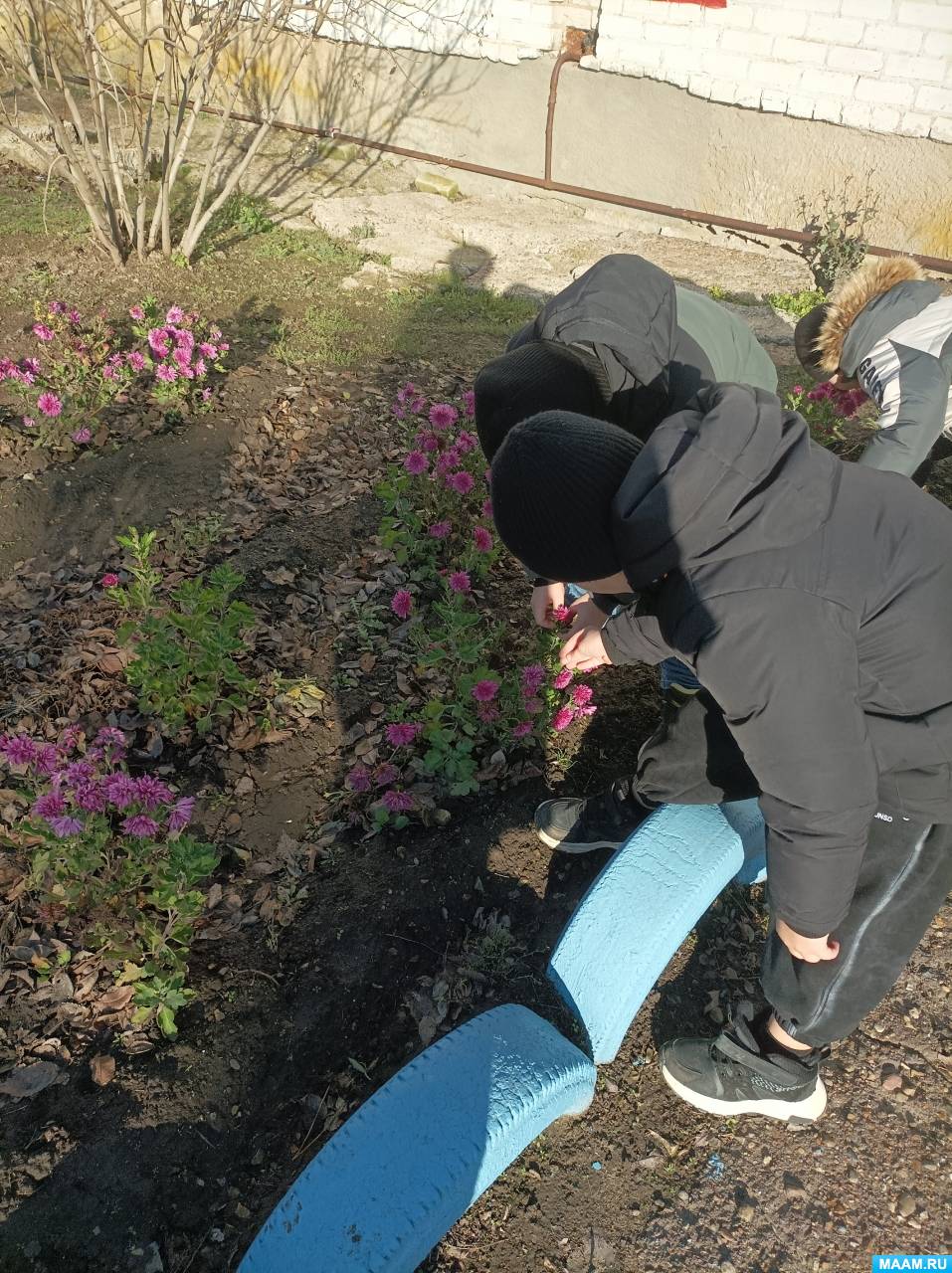 ��������� � �������� �� ������� �������� ���� ������� ��������