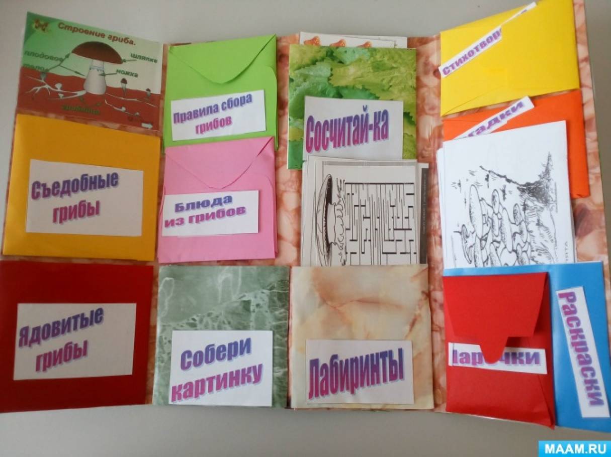 как сделать лэпбук на тему