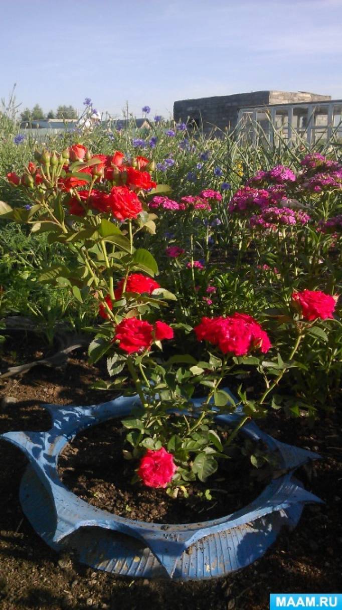 Благоустройство территории «Вот оно какое, наше лето». Воспитателям ...