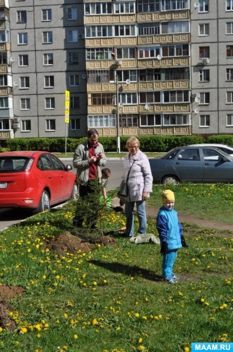 Отчет о проекте «Посади дерево» Фото Отчет о проекте «Посади дерево»
