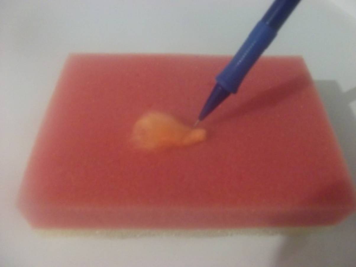 Спдс сказка хрящевка официальный сайт detsad 401767 1450550149