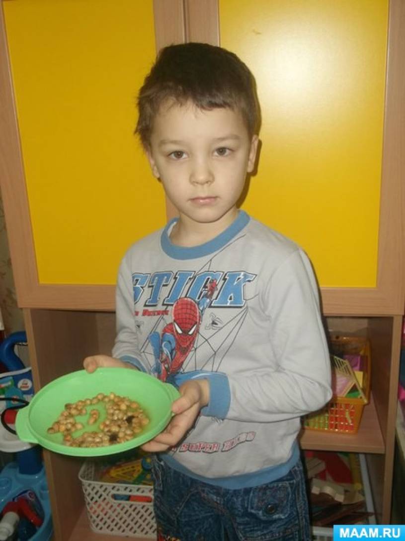 «Раз горох, два горох…», исследовательская деятельность детей старшей группы Фото «Раз горох, два горох…», исследовательская деятельность детей старшей группы