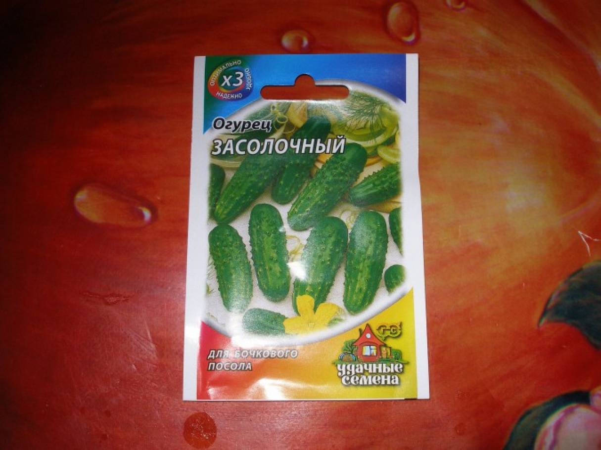 группа огурчики