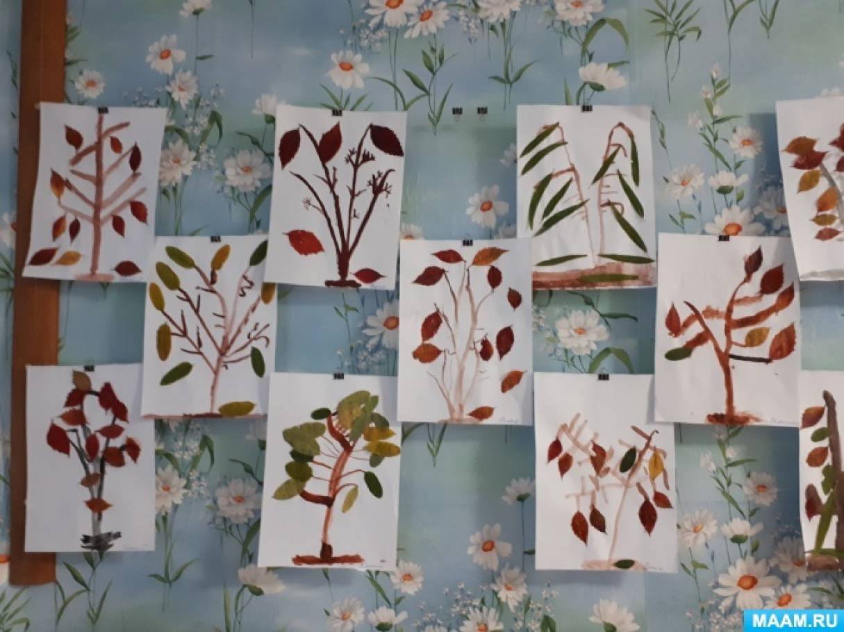 Фотоотчет о занятии по рисованию с элементами аппликации из природного материала для детей в старшей группе «Осеннее дерево»