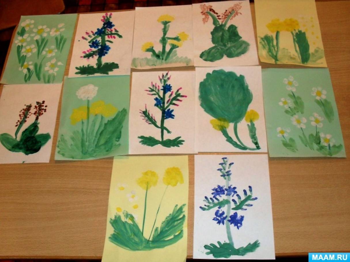Рисование в средней группе книга. Рисование лекарственные растения в средней группе. Рисование в подготовительной группе. Цветы средняя группа. Рисование цветы в подготовительной группе.