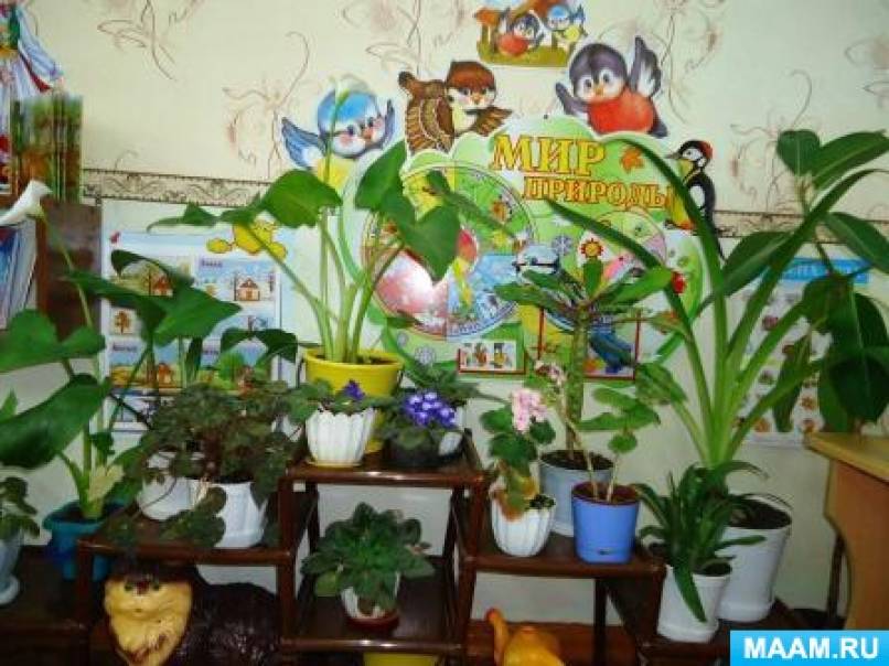 какие зоны должны быть в средней группе по фгос. Смотреть фото какие зоны должны быть в средней группе по фгос. Смотреть картинку какие зоны должны быть в средней группе по фгос. Картинка про какие зоны должны быть в средней группе по фгос. Фото какие зоны должны быть в средней группе по фгос