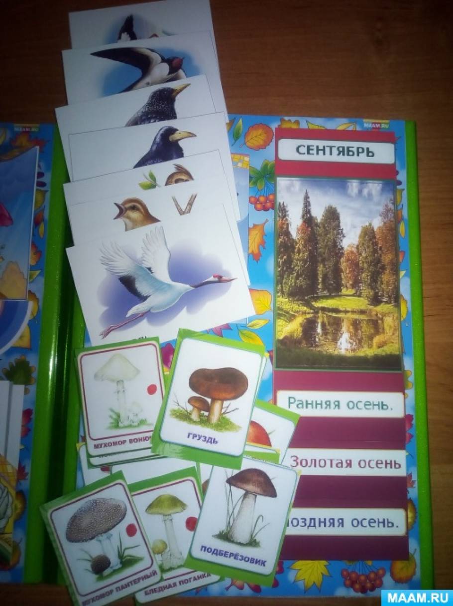 Смотреть фотографию №4 Фото №4 Лэпбуки на ВСЕ темы Осень