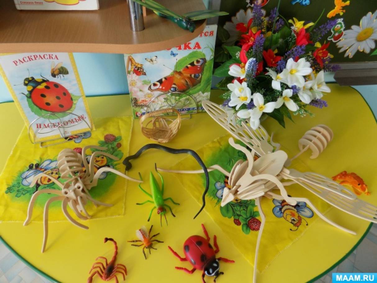 Насекомые тема детского сада. Выставка насекомые в детском саду. Мир насекомых в детском саду. Выставка детских работ в детском саду насекомые. Мир насекомых выставка в детском саду.