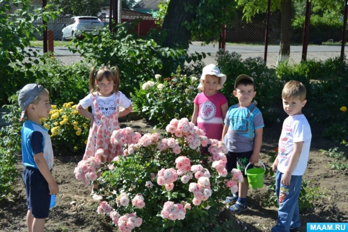 Смотреть фотографию №3 Фото №3 Природа планета Земля экология природой начинаем с ближайшего окружения