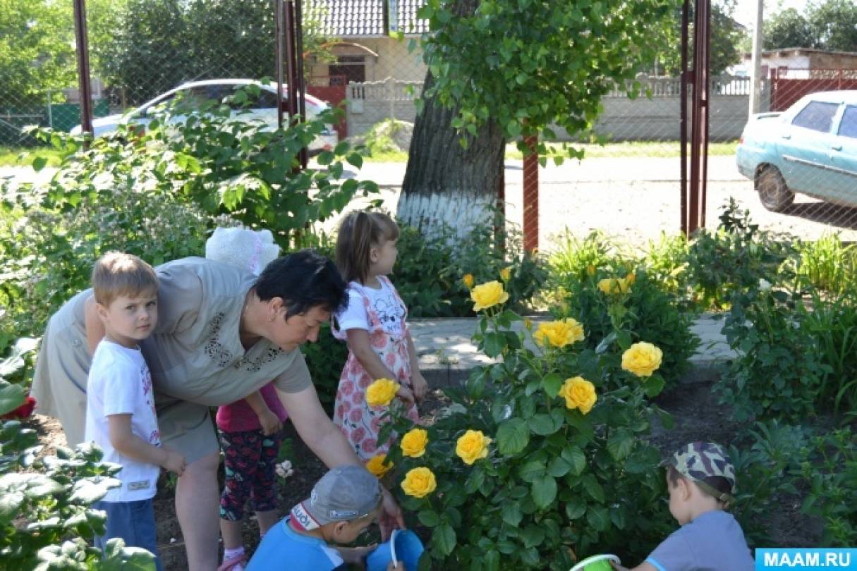 Смотреть фотографию №4 Фото №4 В групповых комнатах созданы условия для ознакомления детей с природой с помощью картинок игрушек знакомим их с домашними и дикими животными