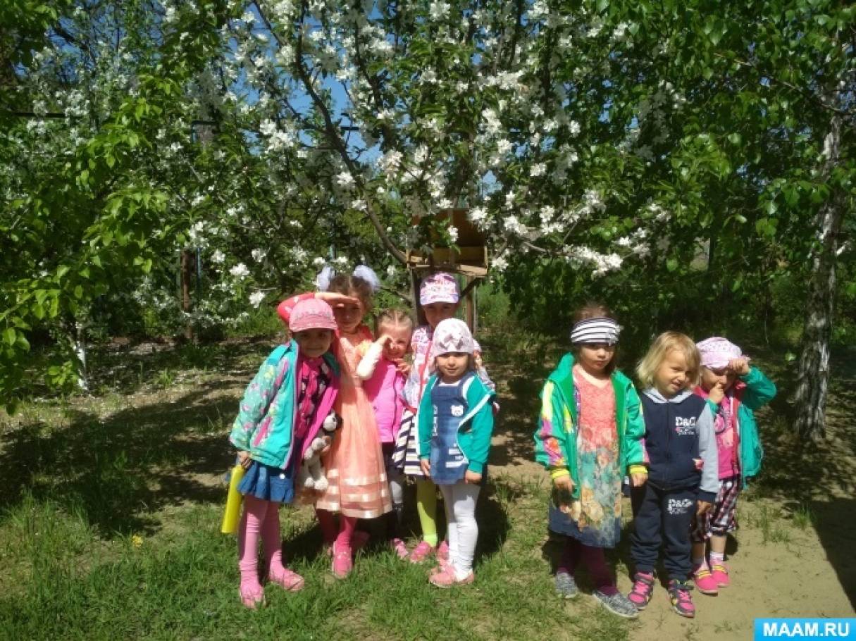 Смотреть фотографию №2 Фото №2 Ознакомление воспитанников с