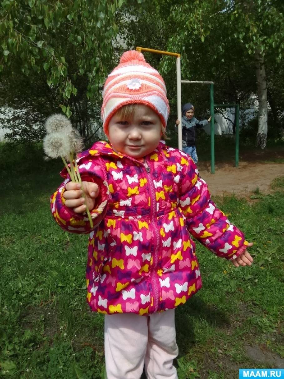 Мастер-класс по созданию аппликации «Веселый одуванчик» (3 фото ...